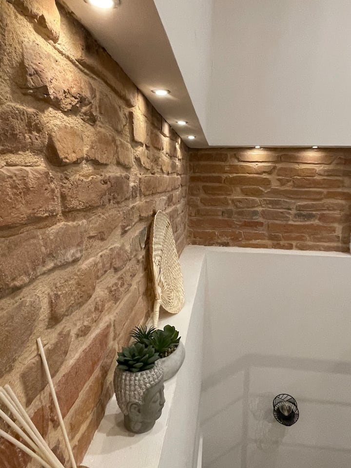 Calme Absolu Climatisé Au Cœur De La Ville Rose - Toulouse