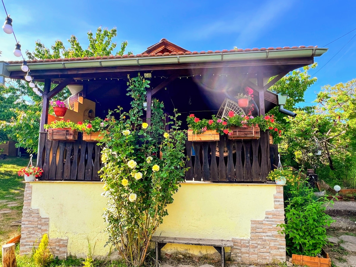 The cozy porch is framed by lush greenery and vibrant flower boxes. Hanging plants add a pop of color to the outdoor space, while the rustic wooden framework showcases inviting features. Tree branches extend around the structure, enhancing the natural setting.