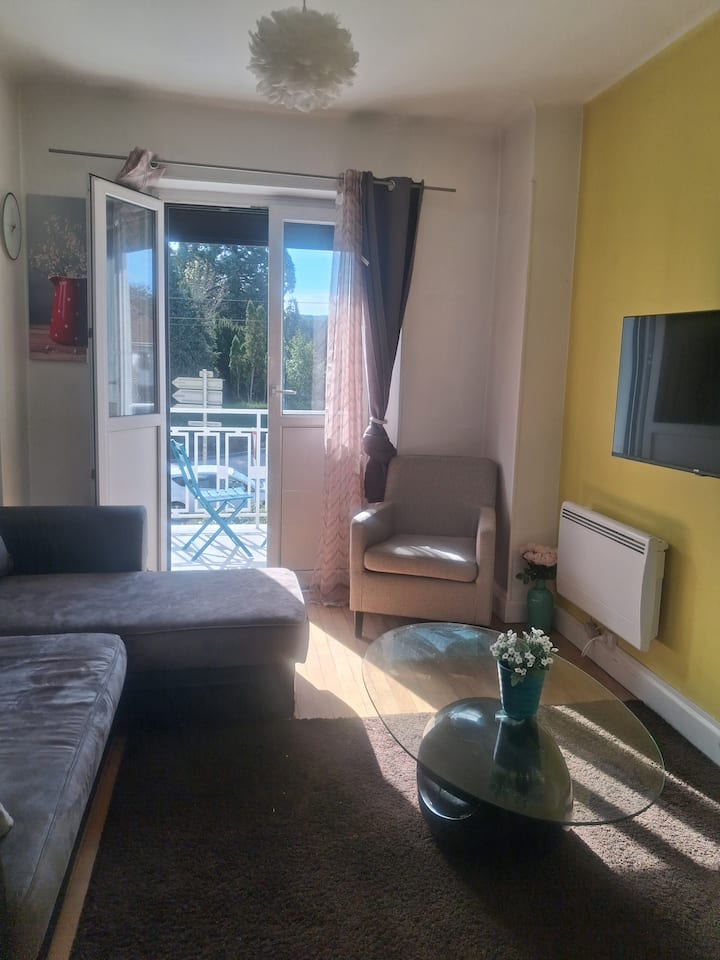 Appart Dans Maison De Maître à 15 Km De Gérardmer - Sainte-Marguerite