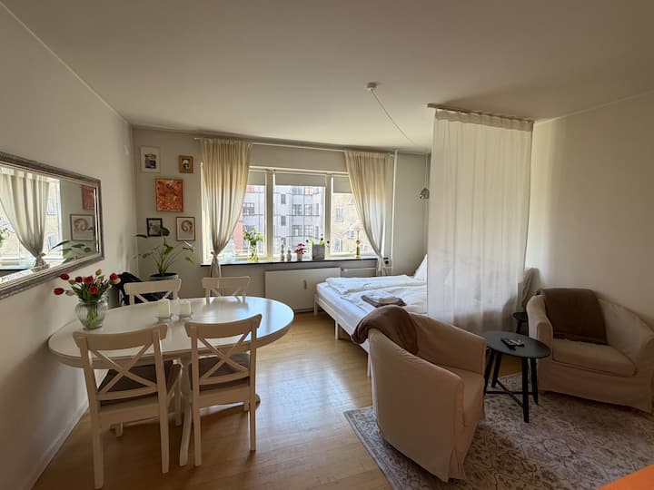Cozy 1 Bedroom 15 Minutes From Copenhagen Center - Copenhagen