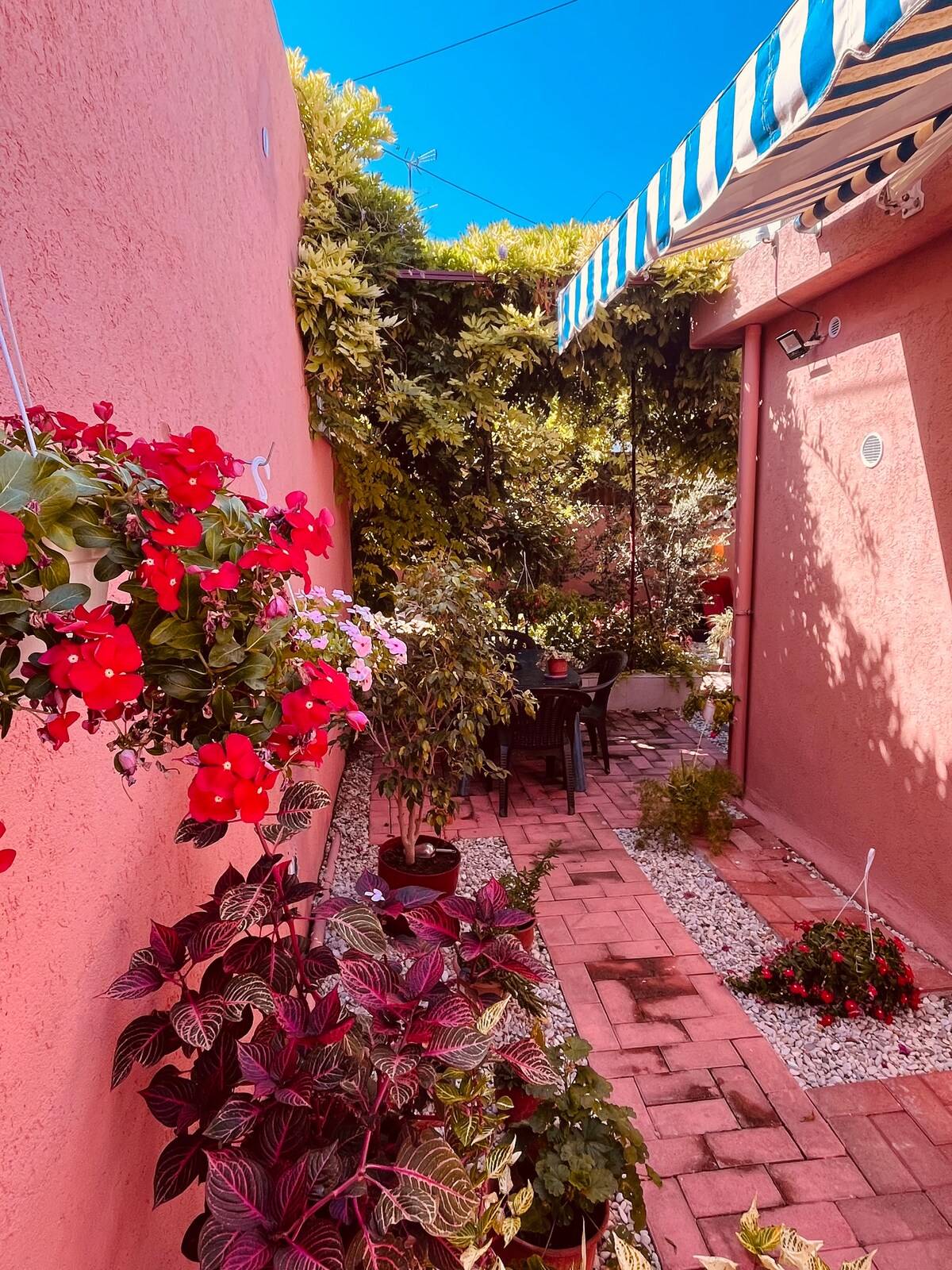 Listing 1192040127542222082