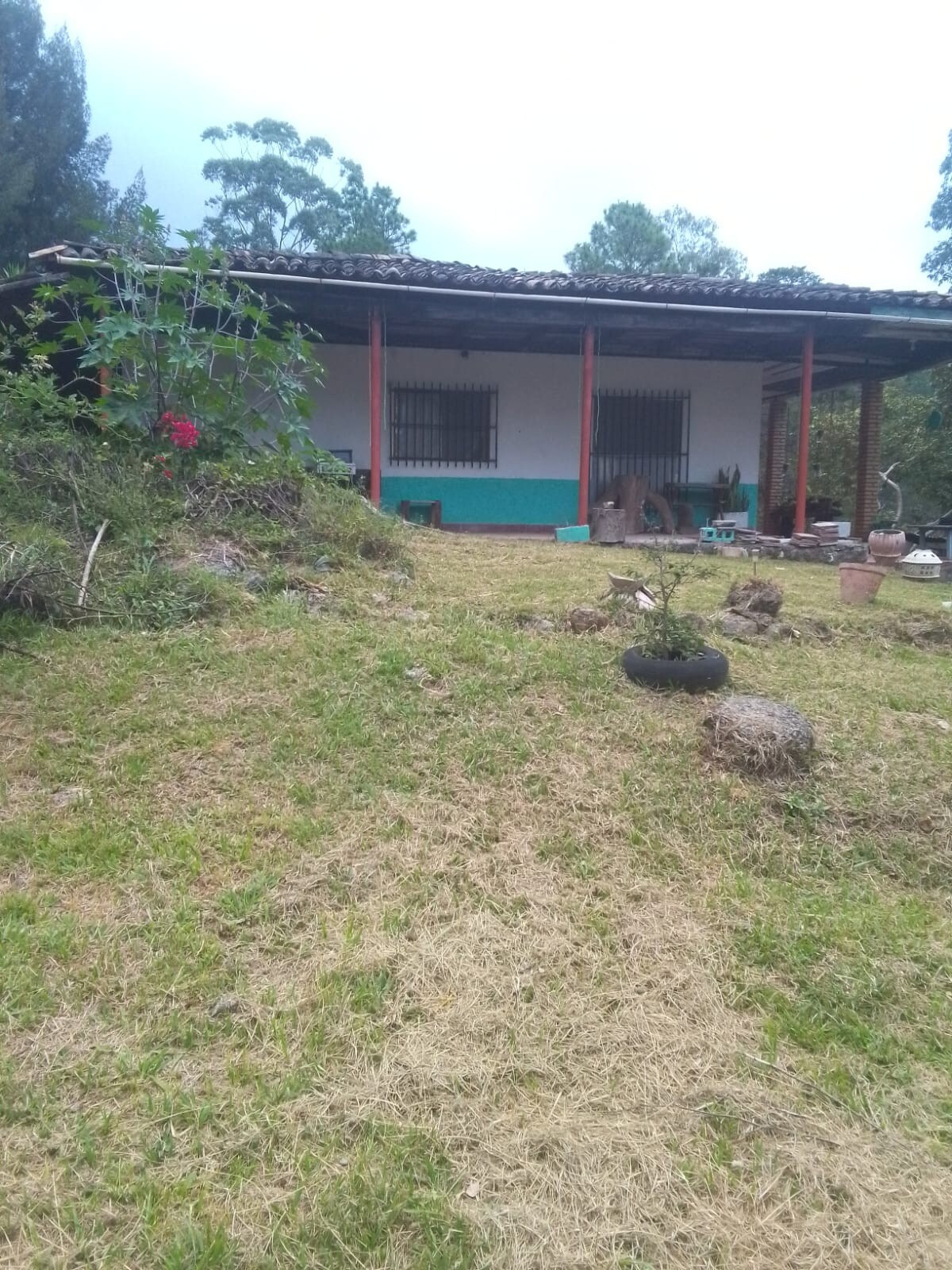 A single-story house with a sloped yard features a covered porch supported by red columns. The exterior walls are painted white with turquoise accents. Various potted plants and a few shrubs are visible in the garden area, adding a touch of greenery to the landscape.