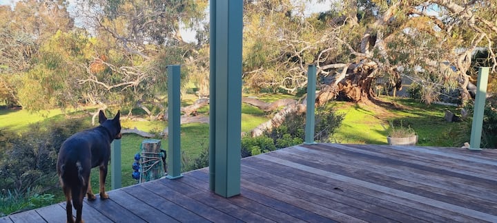 Kookaburra's Rest - Hamilton