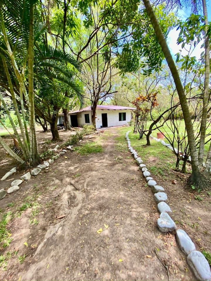Rancho las Js Estate