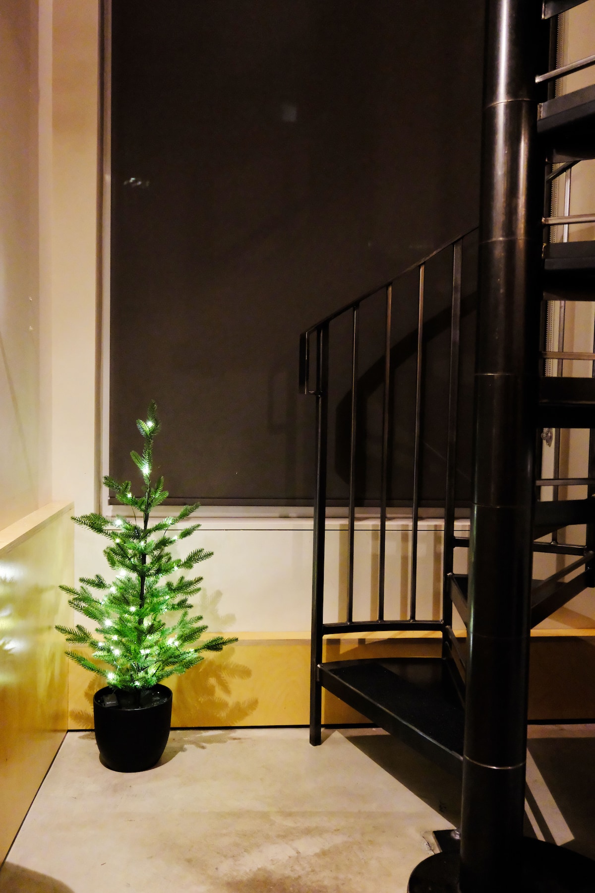 Capitol Hill Townhouse