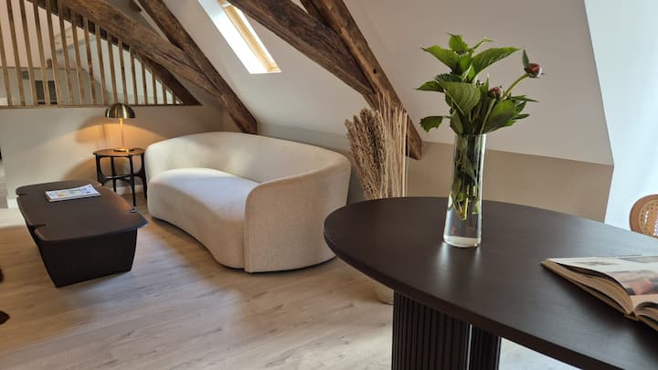 Appartement Luxe Centre Autun Restaurants à Pied - Autun
