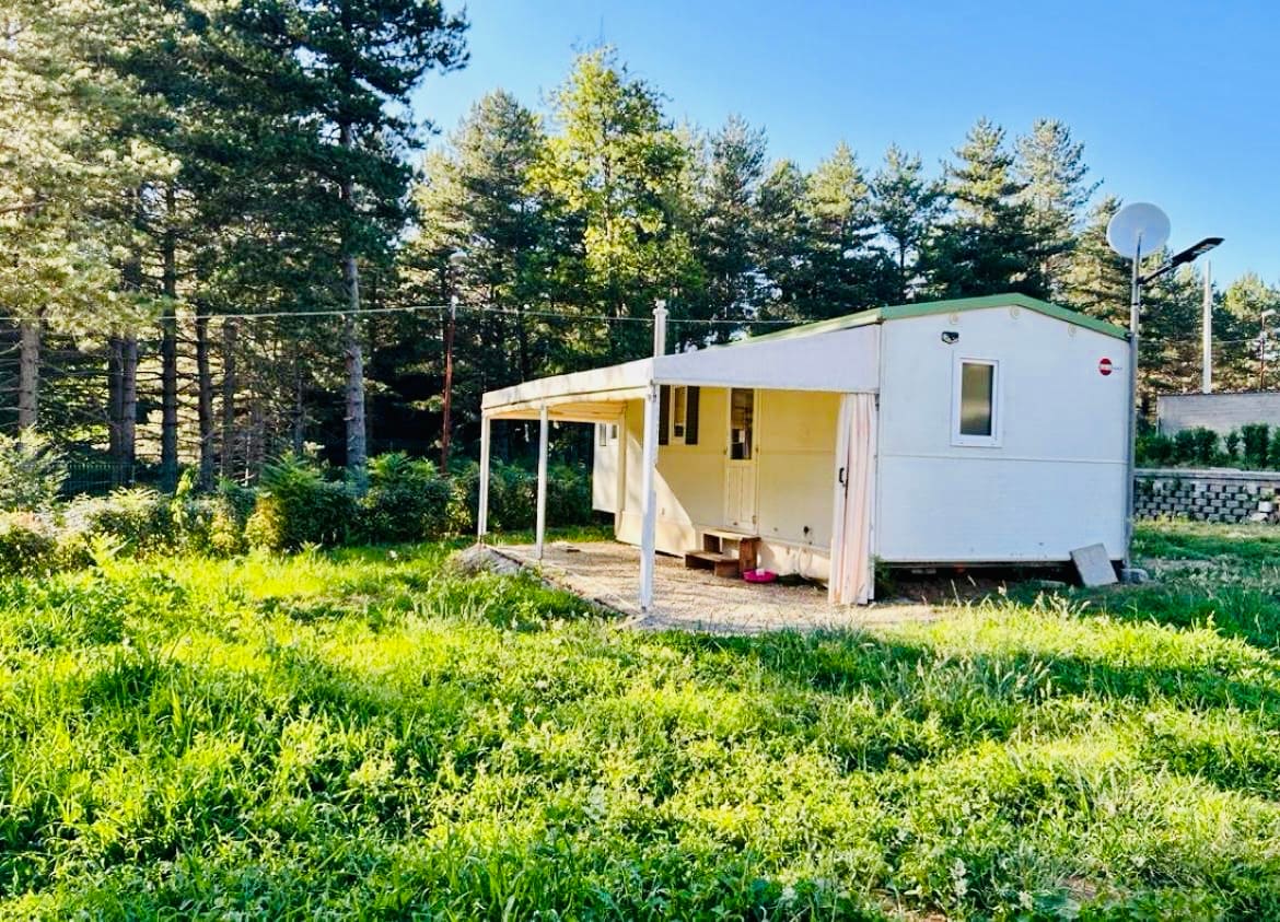An independent unit is surrounded by lush greenery, offering a spacious outdoor area. A covered porch extends from the structure, providing a sheltered entry. Tall trees create a natural backdrop, enhancing the tranquil setting. The building features a clean, simple design with large windows.