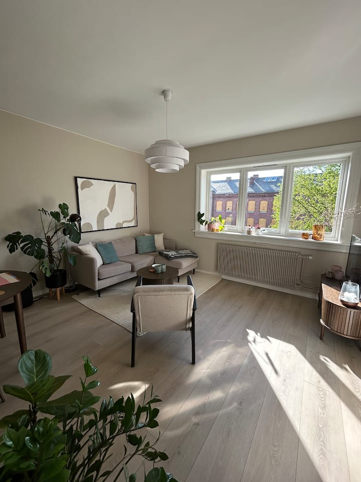 Sentral Leilighet På Torshov I Bydel Sagene - Oslo