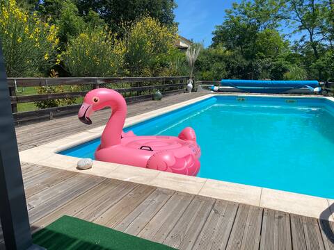 Welcome to Isa and Nico's