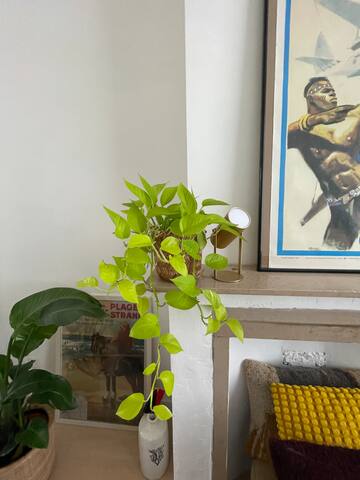 Belle maison de maître gallery image 5