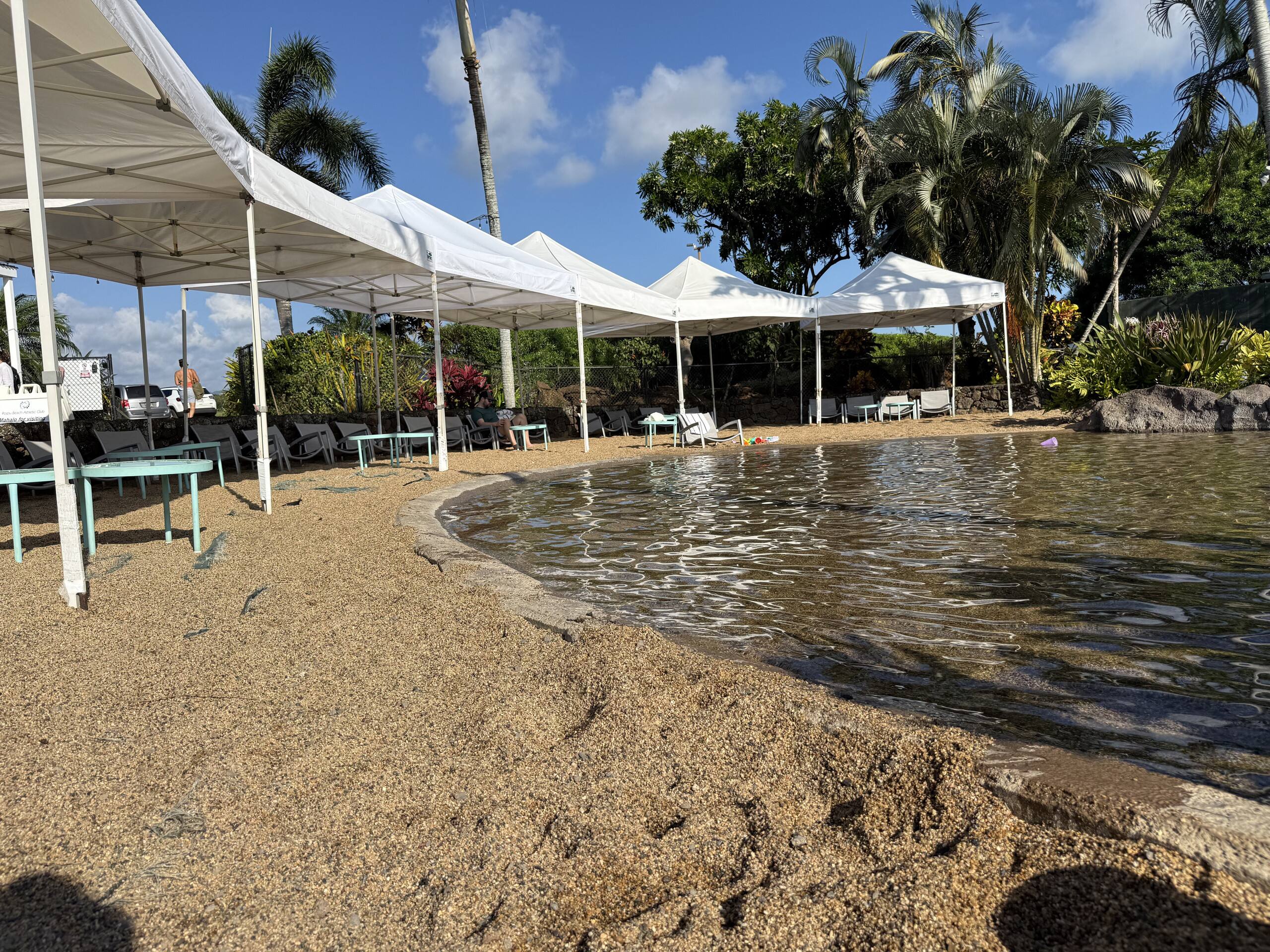 NEWLY Updated Kiahuna 1BR | A/C + Pool - Photo 39