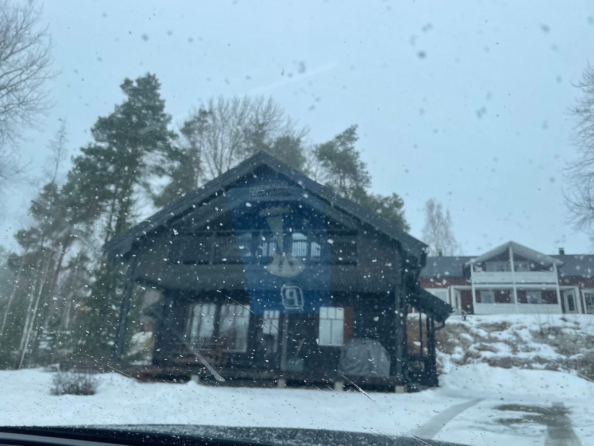 A wooden cottage is depicted, showcasing a gabled roof and large windows that provide ample light. Snow blankets the ground, and a light snowfall creates a serene atmosphere. Surrounding pine trees frame the structure, contributing to a secluded setting.