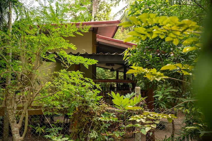 Deniz’s Zen Harmony Haven - Ko Pha Ngan