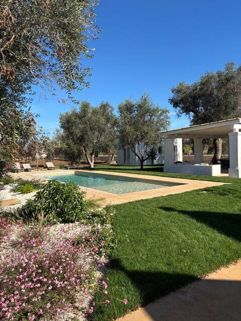 Trullo Gritti at the ancient olive grove
