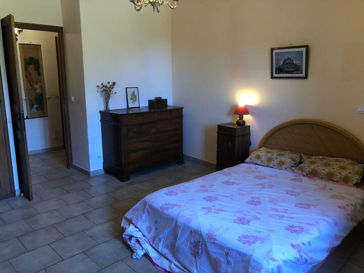 Quarto 1