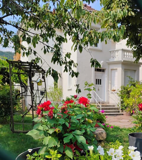 Beau gîte calme, Spa 25°, clim, terrasse, parking