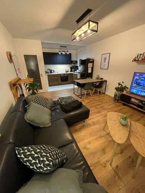 Top performing Airbnb: 50 m² apartment in La Roche Sur Yon