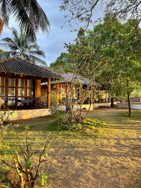 Mambo’s beach hotel, ocean view.