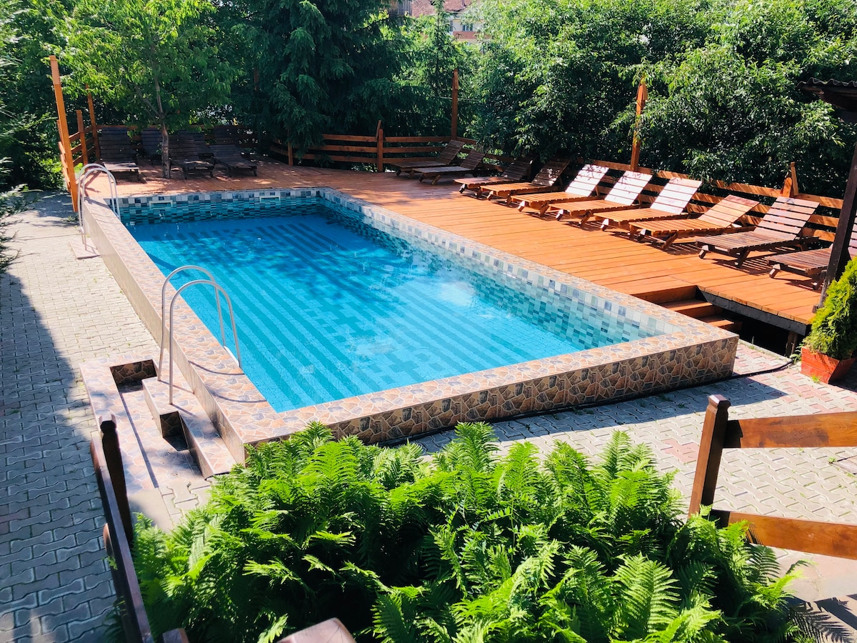 An outdoor swimming pool is surrounded by greenery, featuring fresh blue water and a textured tile border. Sun loungers are arranged along the wooden deck, creating an inviting area for relaxation. Lush ferns line the edge of the pool area, enhancing the natural setting.