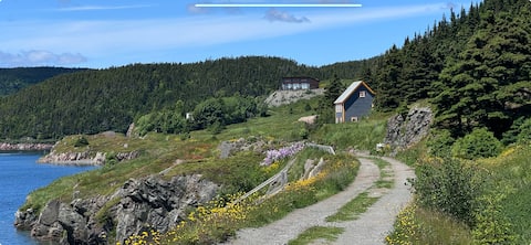 Bellecroft House Trinity East - newly renovated!