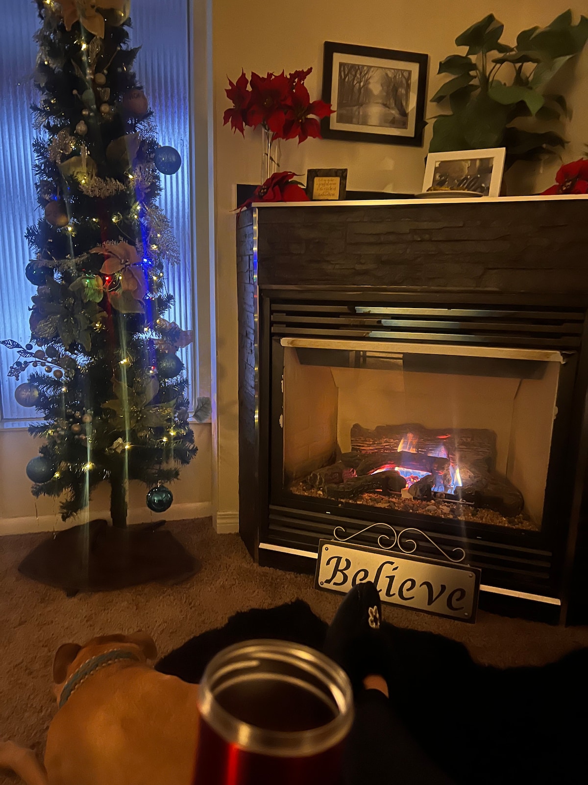 A cozy living area features a stone fireplace with flames gently flickering. A decorated Christmas tree adorned with ornaments stands nearby. A plush, dark rug covers the floor, while a small sign reading 'Believe' rests in front of the fireplace.