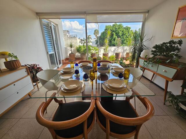 Huerto verde en la Roma gallery image 4