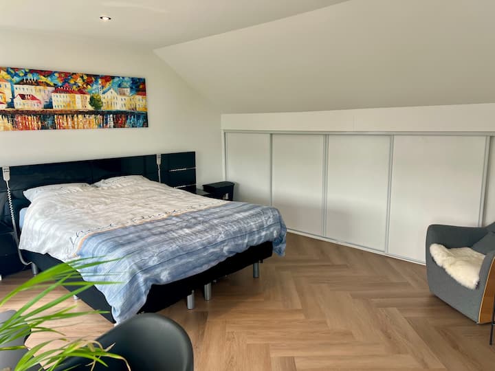 Ruime Slaapkamer, Bureau, Badkamer Naast Natuur - Leeuwarden
