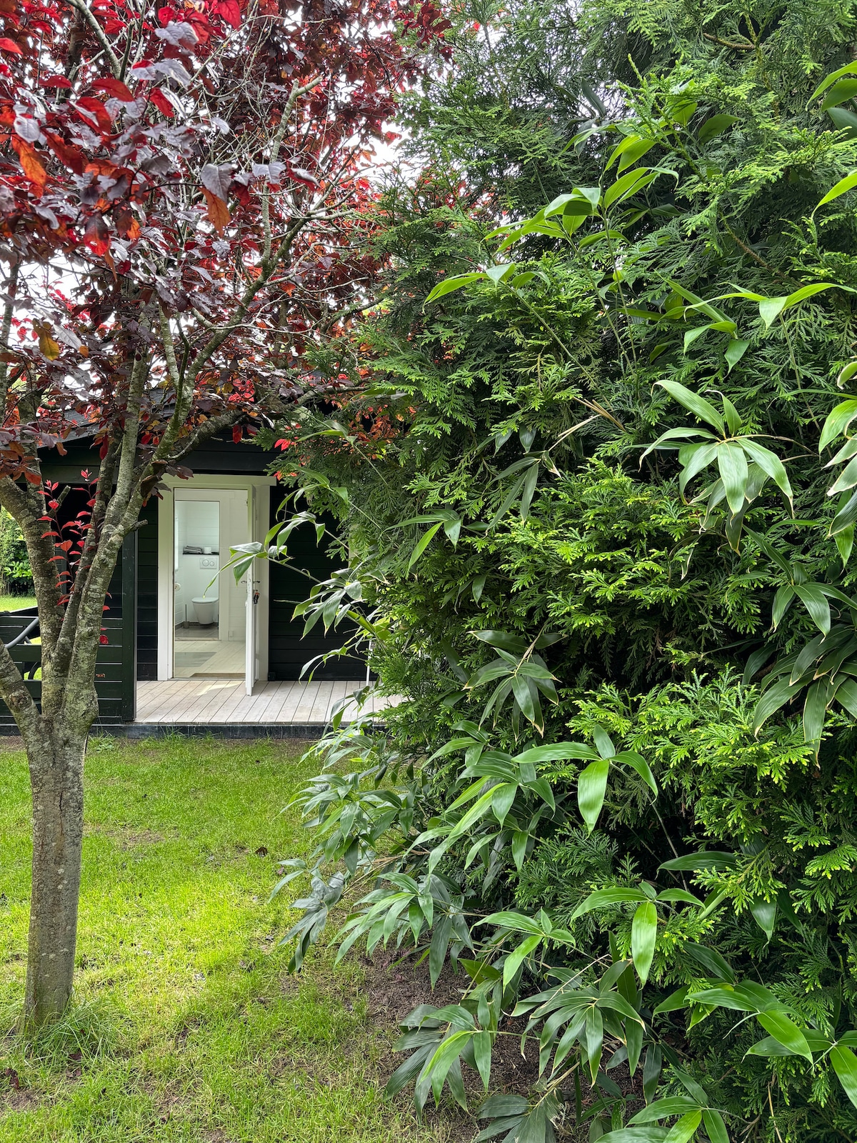 A view of the exterior garden area showcases lush greenery, including a mix of shrubs and trees with red leaves. In the background, an entrance to a building can be seen, leading to a light-filled space, indicating a cozy connection to nature.