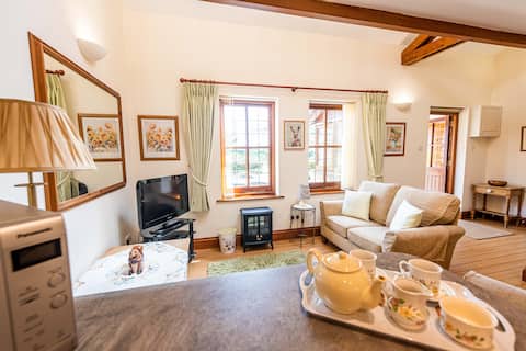 Top performing Airbnb: Daisy Cottage, Self Catering in Sidmouth