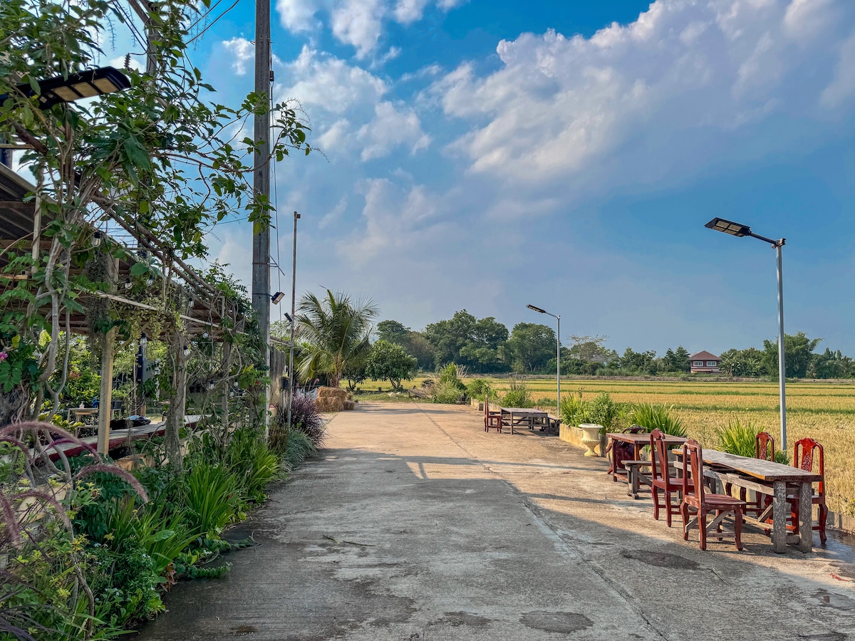 A wide pathway stretches through a rural landscape, flanked by tables and chairs crafted from wood. Lush greenery is visible alongside the path, with distant fields under a blue sky adorned with scattered clouds, creating a serene environment for relaxation.
