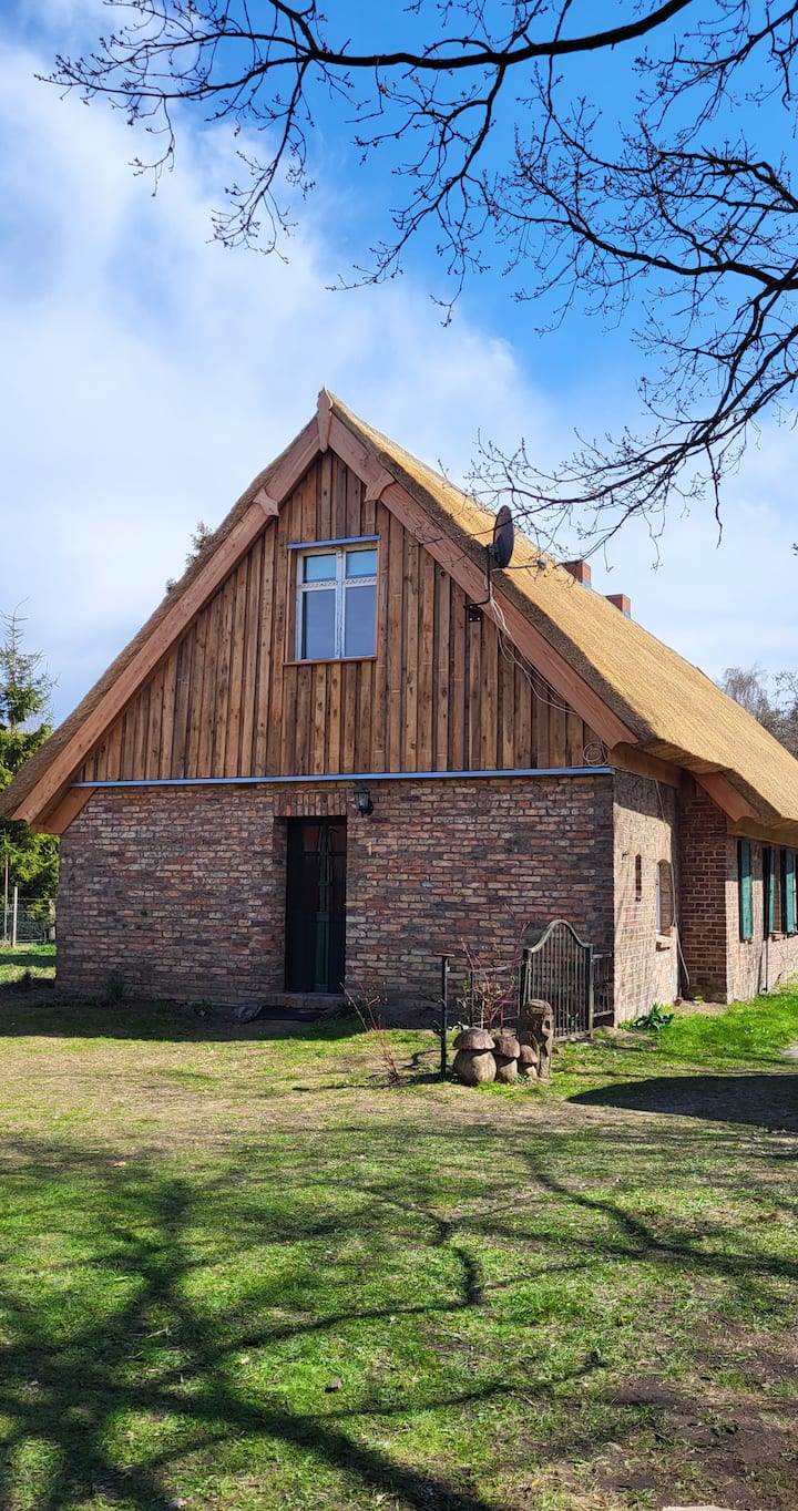 Familienwohnung 1 Mit Kamin - Anklam