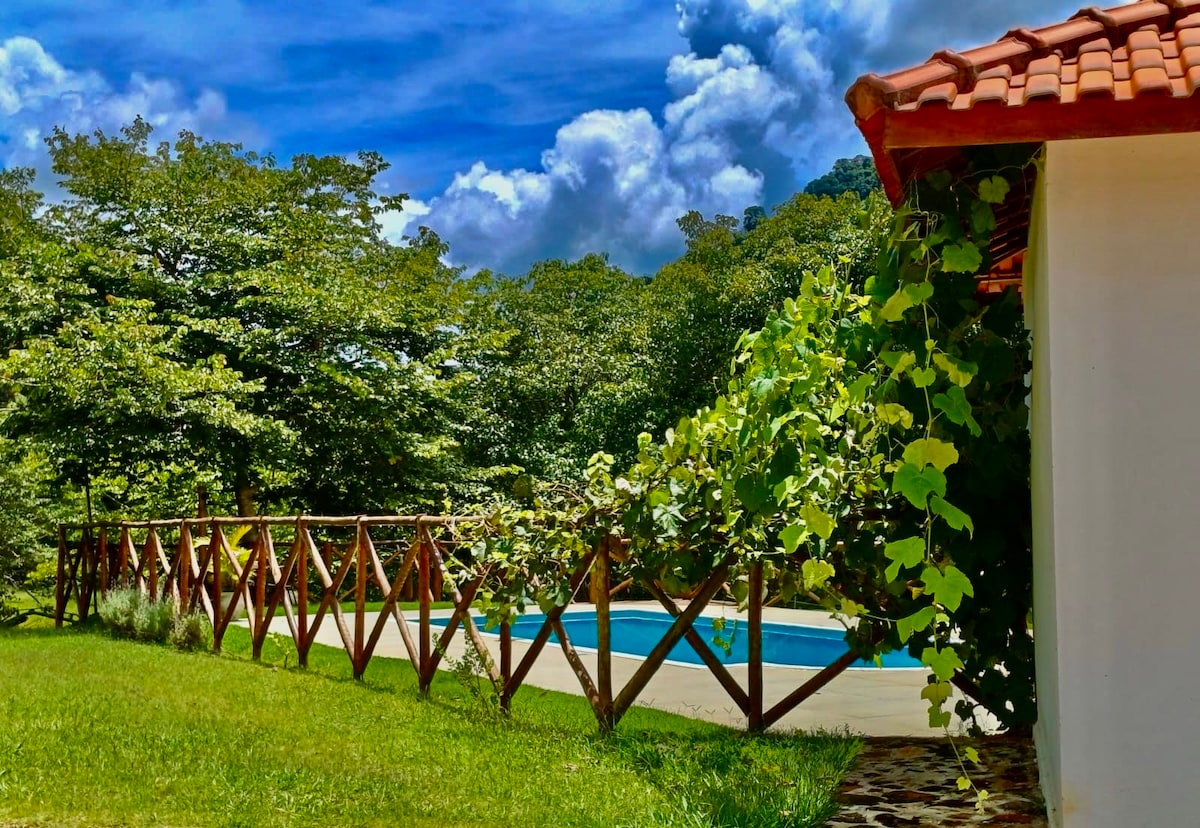 The image captures a serene outdoor area featuring a wooden fence adorned with climbing vines. Beyond the fence, a refreshing pool is visible, surrounded by lush greenery and tall trees under a bright blue sky with fluffy clouds.