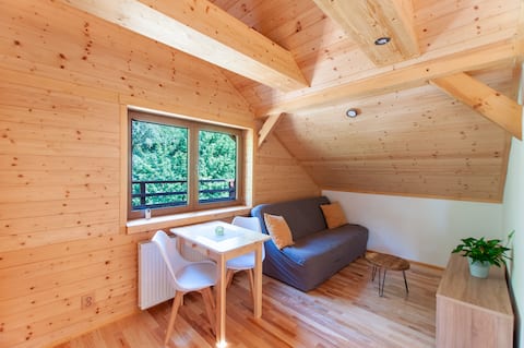 Apartmán ve srubu s balkónem