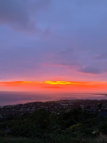 Hawaiian Living Oasis gallery image 2