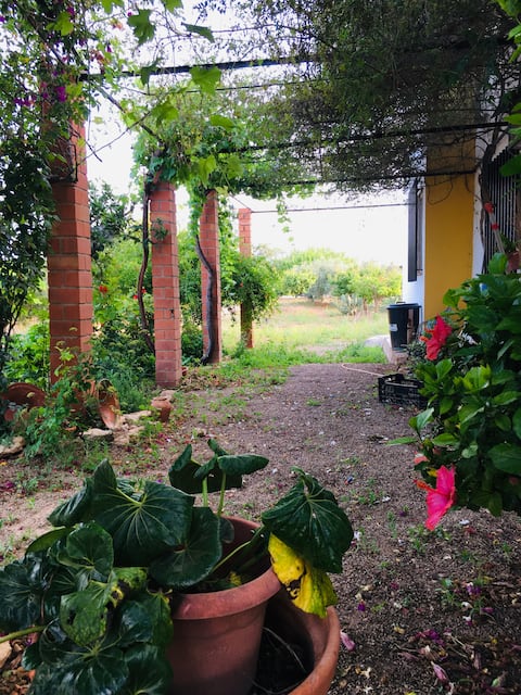 Finca Vera Mar