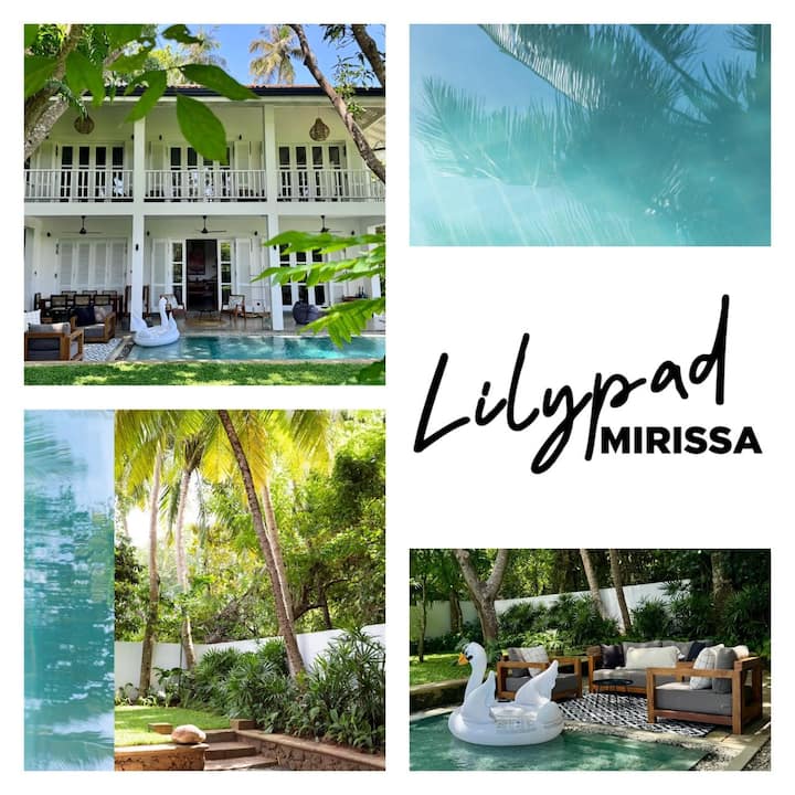 Lilypad, Mirissa