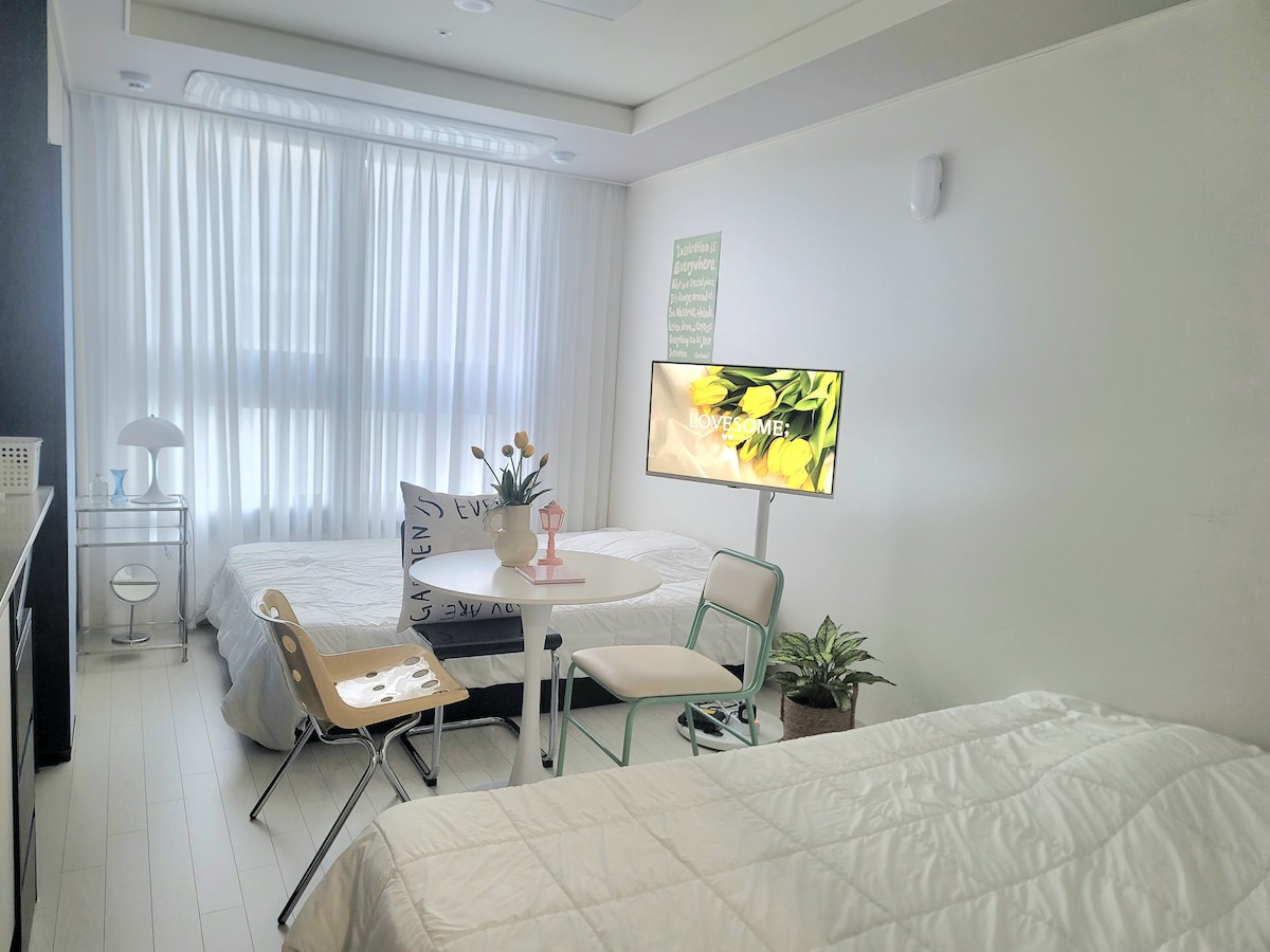 A bright and airy room features two spacious beds arranged alongside a small table and chairs. Natural light filters through sheer white curtains, illuminating the minimalistic decor. A television is mounted on the wall, displaying a serene nature scene, while a small plant adds a touch of greenery.