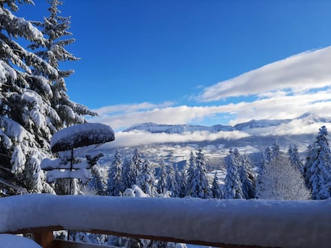 In standby. Chalet, mountain, Alps, view. Chabanon.