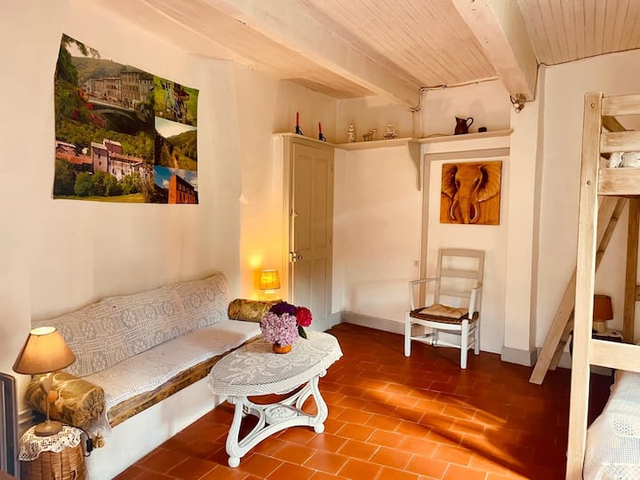 Gîte Au Cœur Des Cévennes - Mont Aigoual