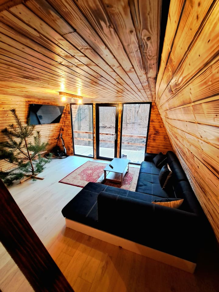 Cabana A-frame - Curtea de Argeș