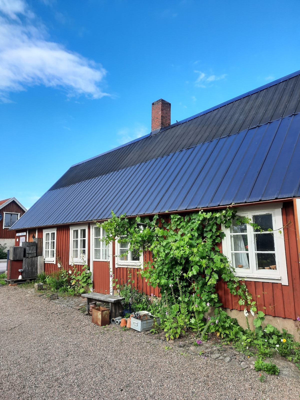 The exterior of a red wooden house features a blue metal roof and multiple white windows, framed by greenery. A gravel pathway leads to the entrance, with plants and flowers visible along the base of the building, contributing to a natural setting.