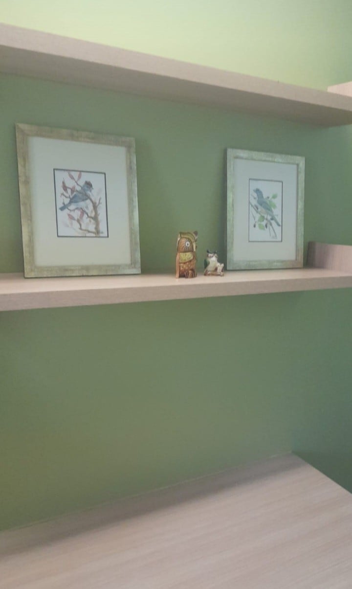 A wall-mounted shelf displays two framed bird illustrations alongside decorative items, including a small owl and figurines. The light wood shelf contrasts with the soft green wall, creating a calming visual appeal.