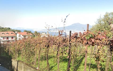 Appartamento Green Heaven