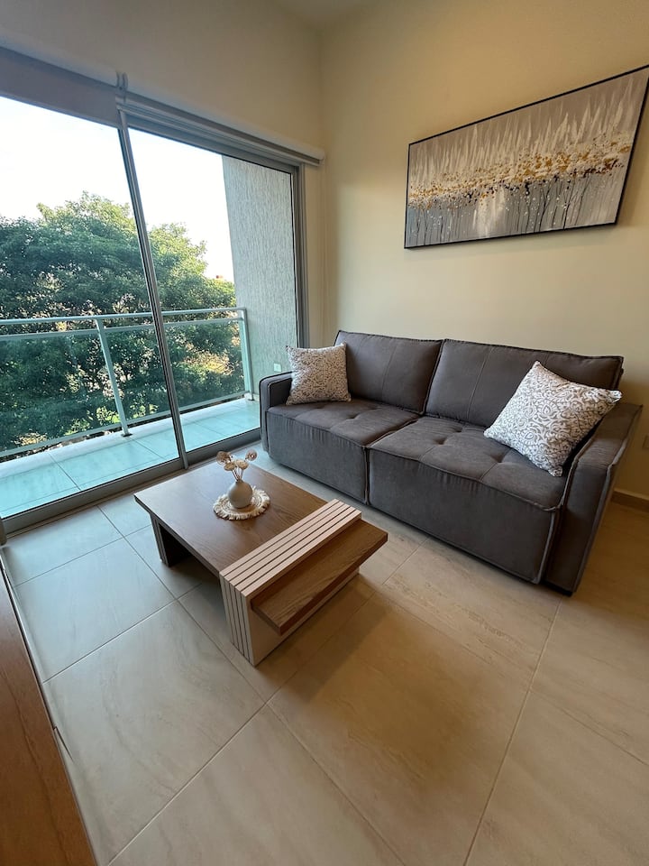 Departamento Zona Mariscal - Asunción