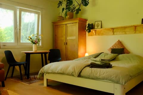 Guesthouse Located in green