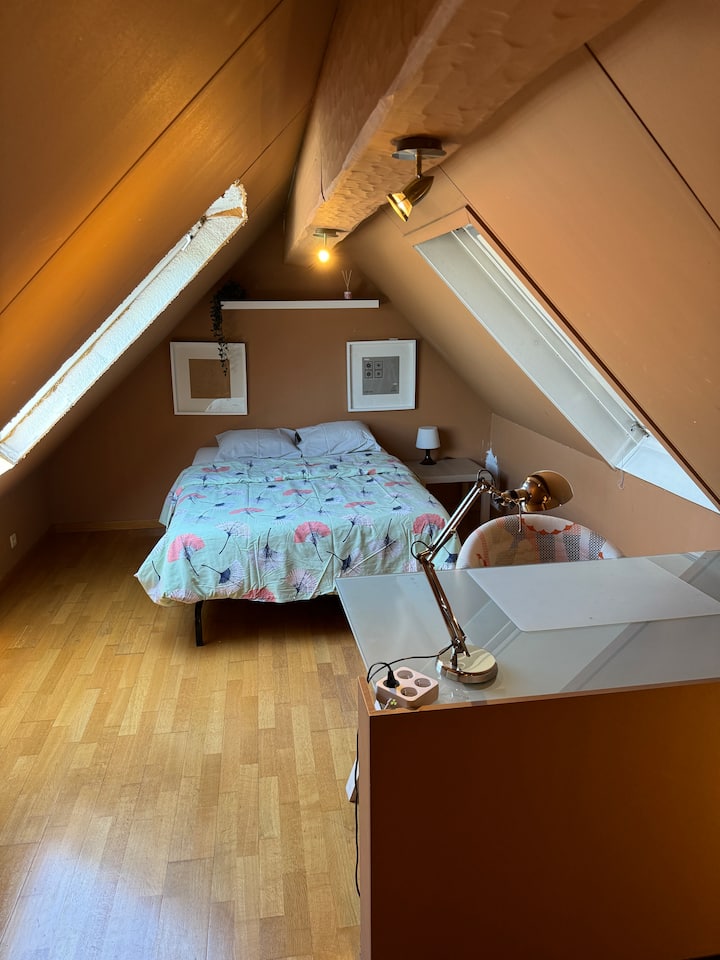 Habitación 1
