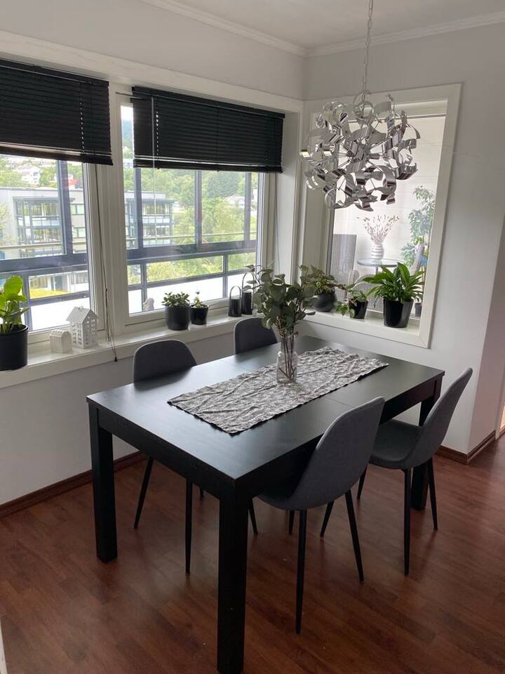 Central apartment rented out