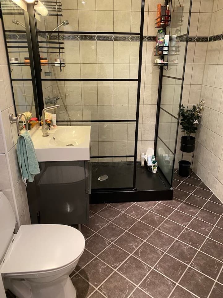 Central apartment rented out