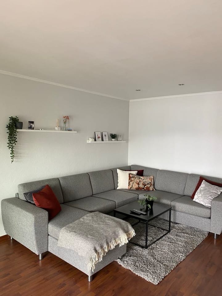 Central apartment rented out