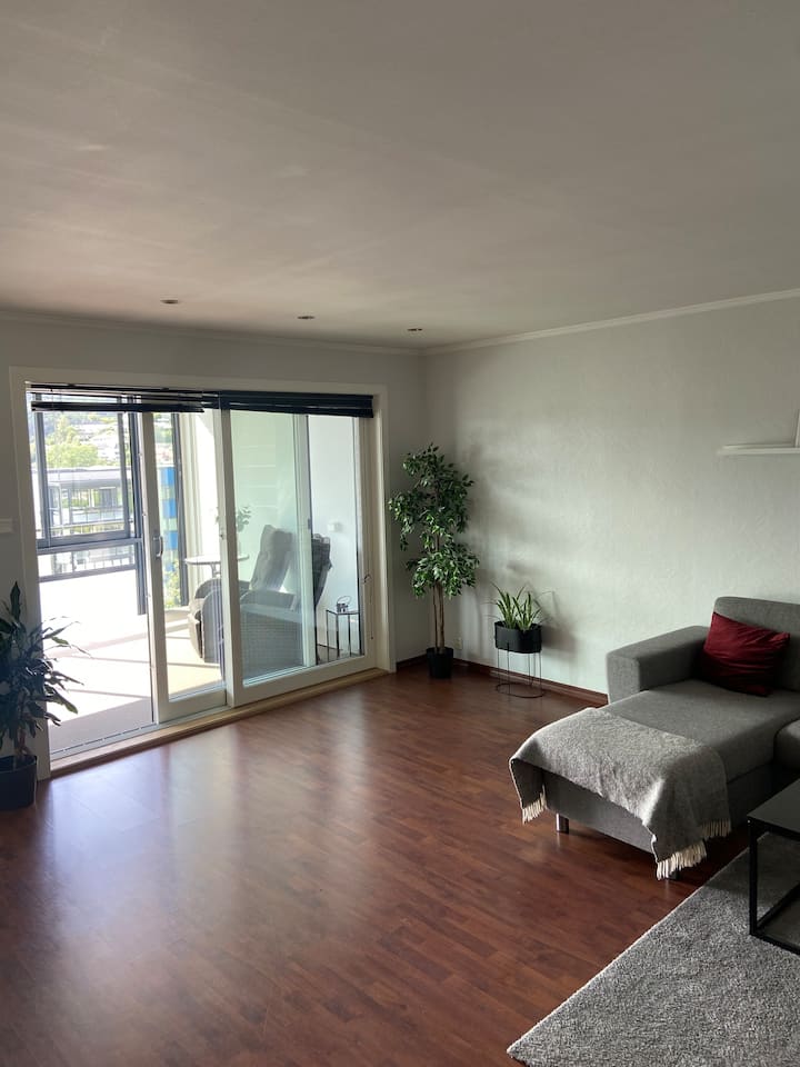 Central apartment rented out
